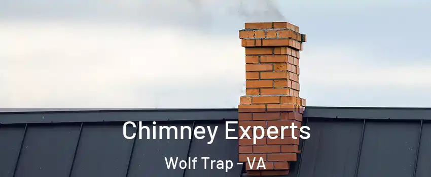 Chimney Experts Wolf Trap - VA